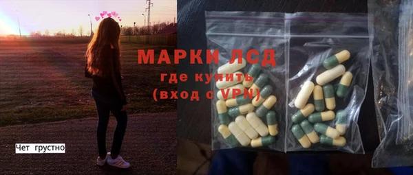 ПСИЛОЦИБИНОВЫЕ ГРИБЫ Верея