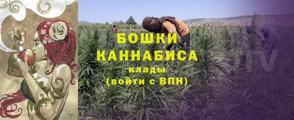 молекула духа Бронницы
