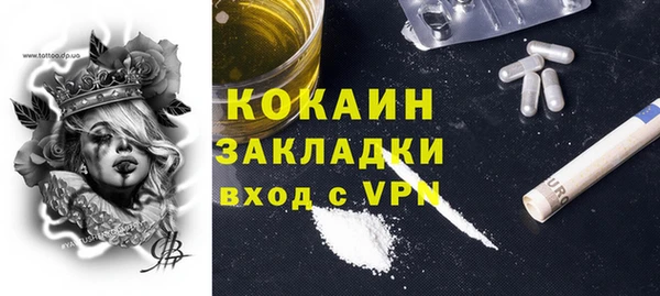 ПСИЛОЦИБИНОВЫЕ ГРИБЫ Верея