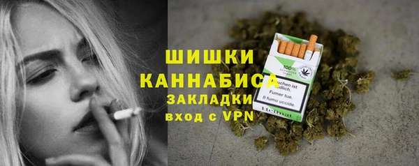 ПСИЛОЦИБИНОВЫЕ ГРИБЫ Верея