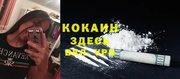 ПСИЛОЦИБИНОВЫЕ ГРИБЫ Верея
