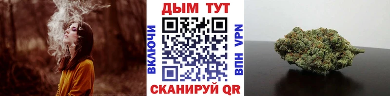 где купить наркотик  ОМГ ОМГ маркетплейс  Шишки марихуана тримм  Высоцк 